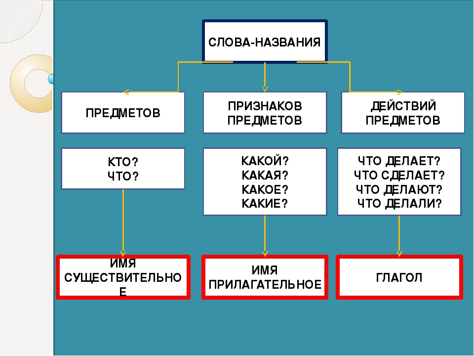 Слове действия что это